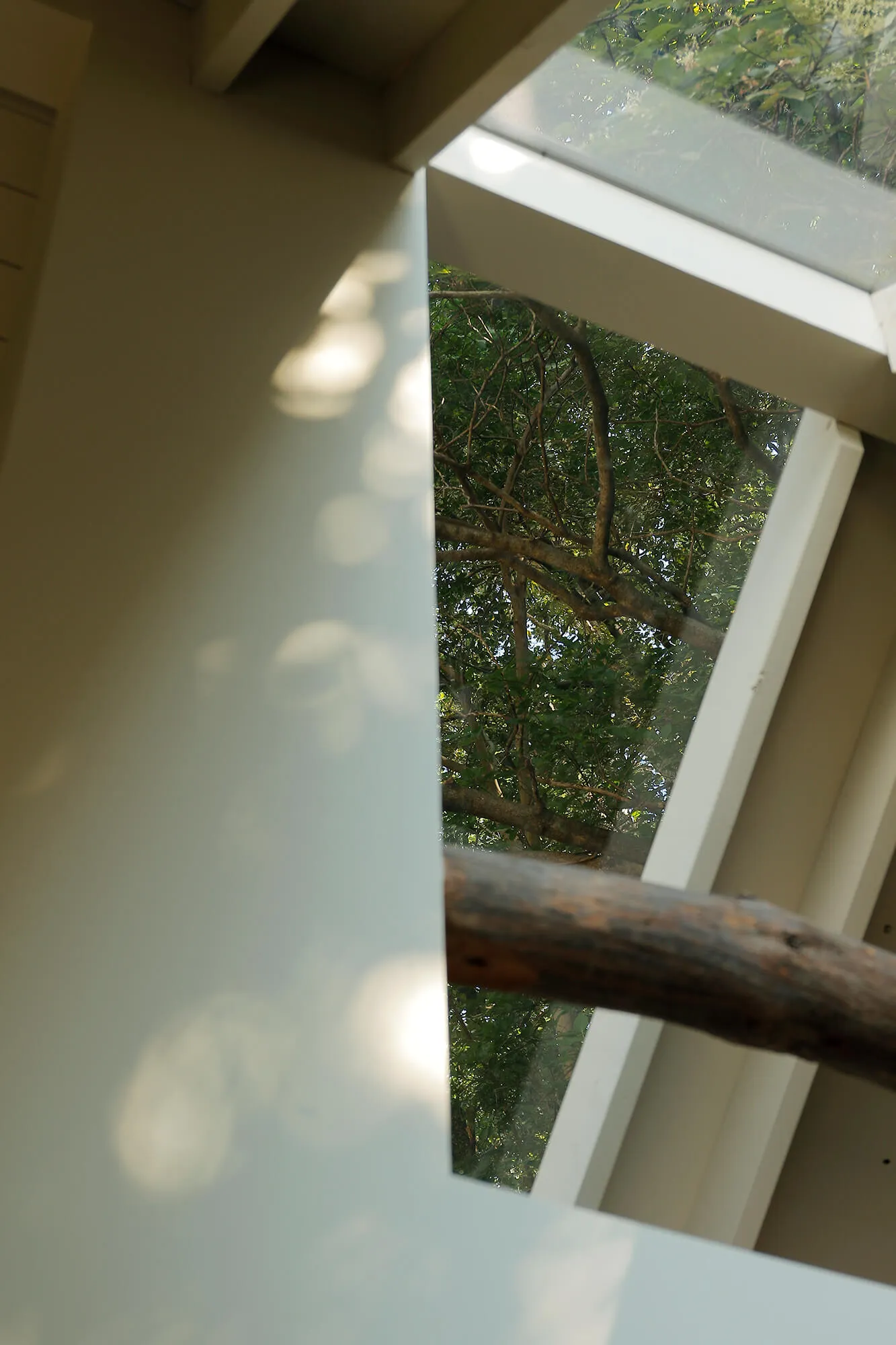 Inner view of a window through the railing, showing tree shadows and daylight
