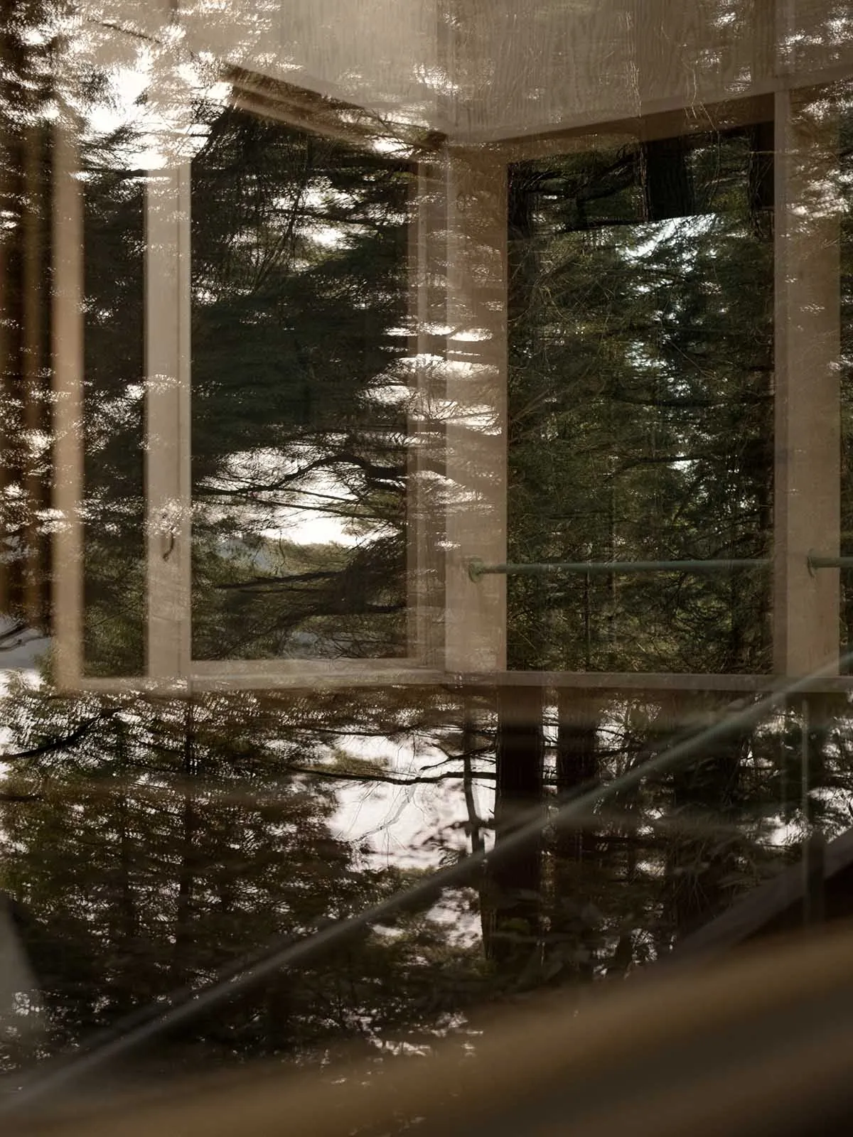 Translucent window with reflections of green trees and sunlight.