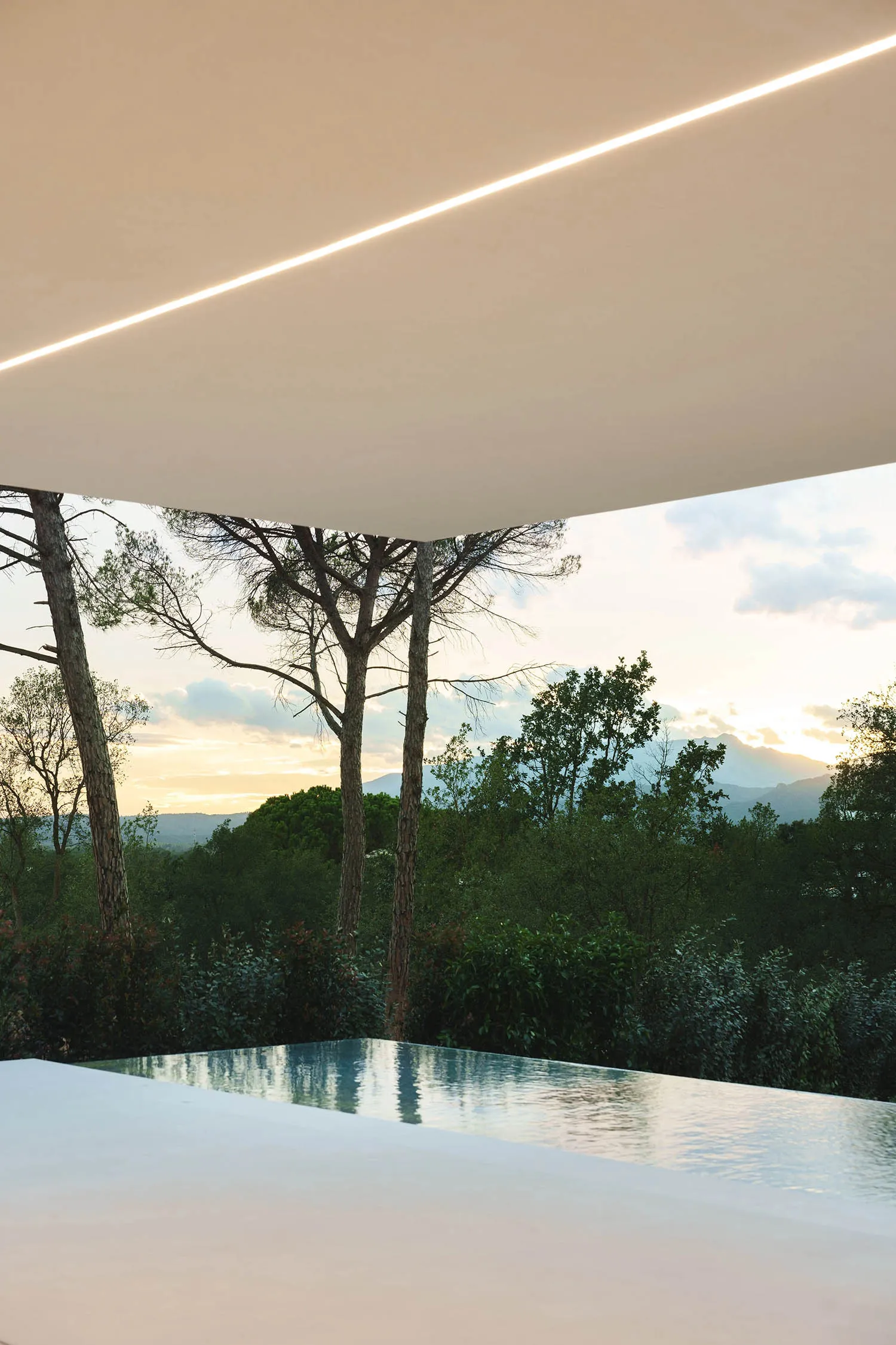 A minimalist concrete swimming pool with a modern design, featuring a sleek, linear shape and a natural, earthy color palette