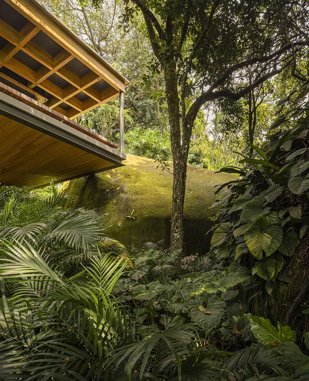 An image showcasing the modern design of a building constructed with natural wood, surrounded by lush green foliage.