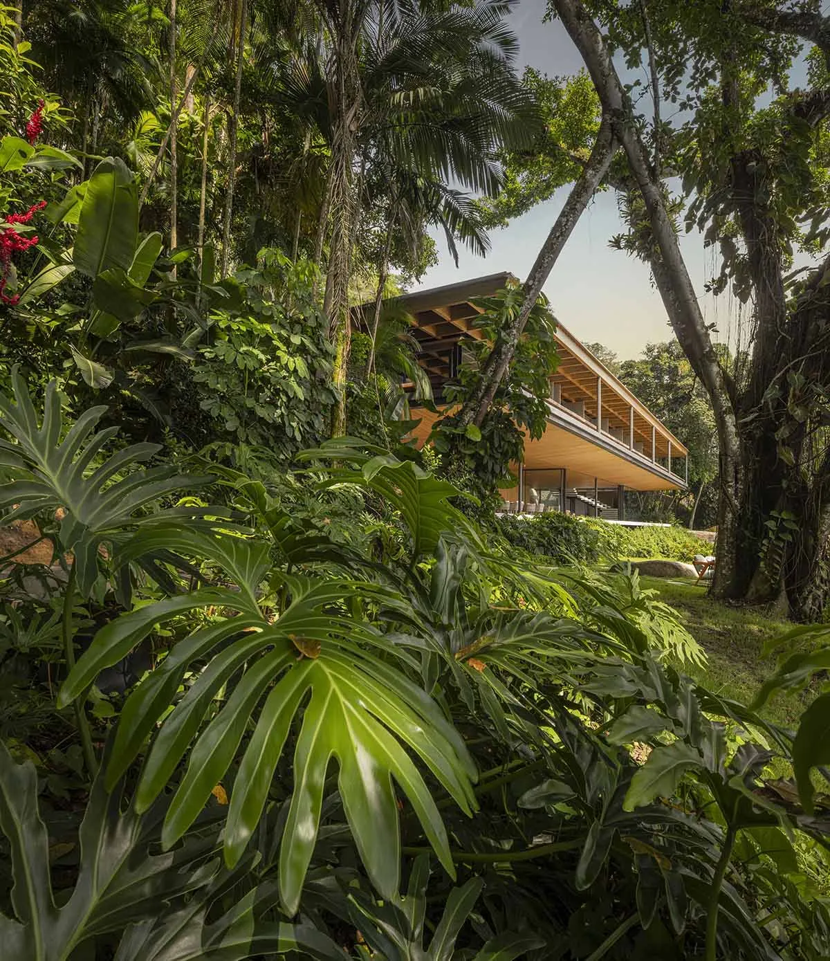 Modern, two-story house nestled among lush tropical foliage and palm trees.