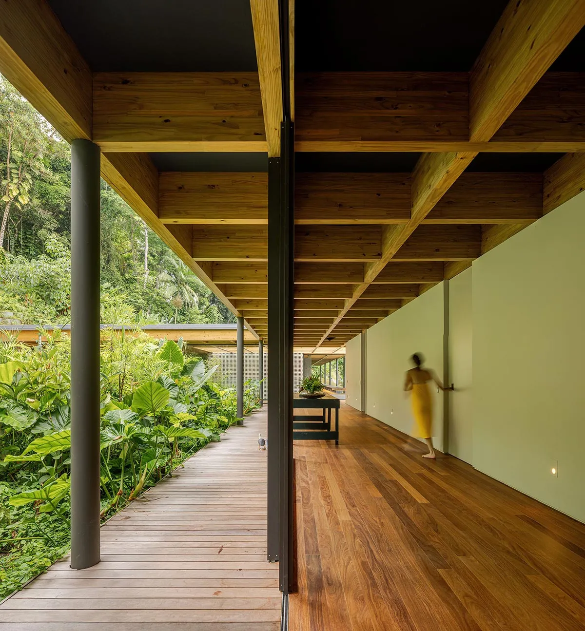 Modern interior design featuring wooden elements and open space, showcasing contemporary architecture and natural light.