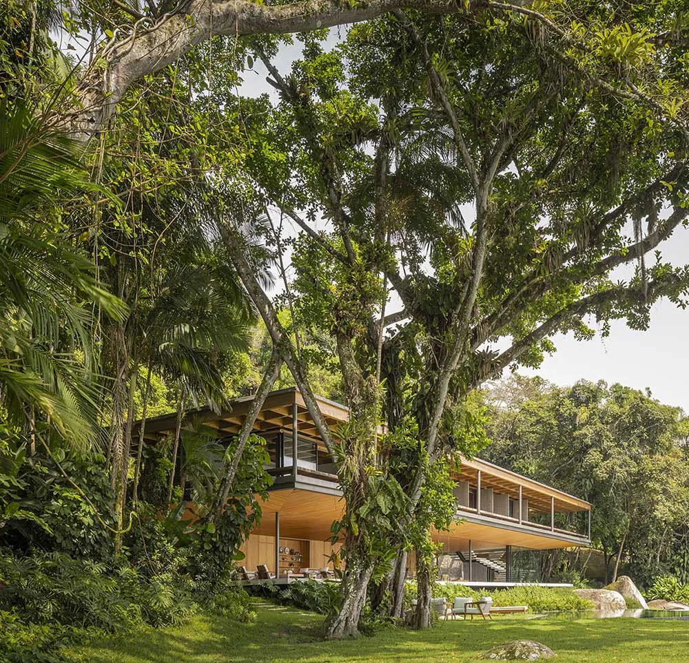 A modern residential exterior nestled in a tropical forest with large trees.