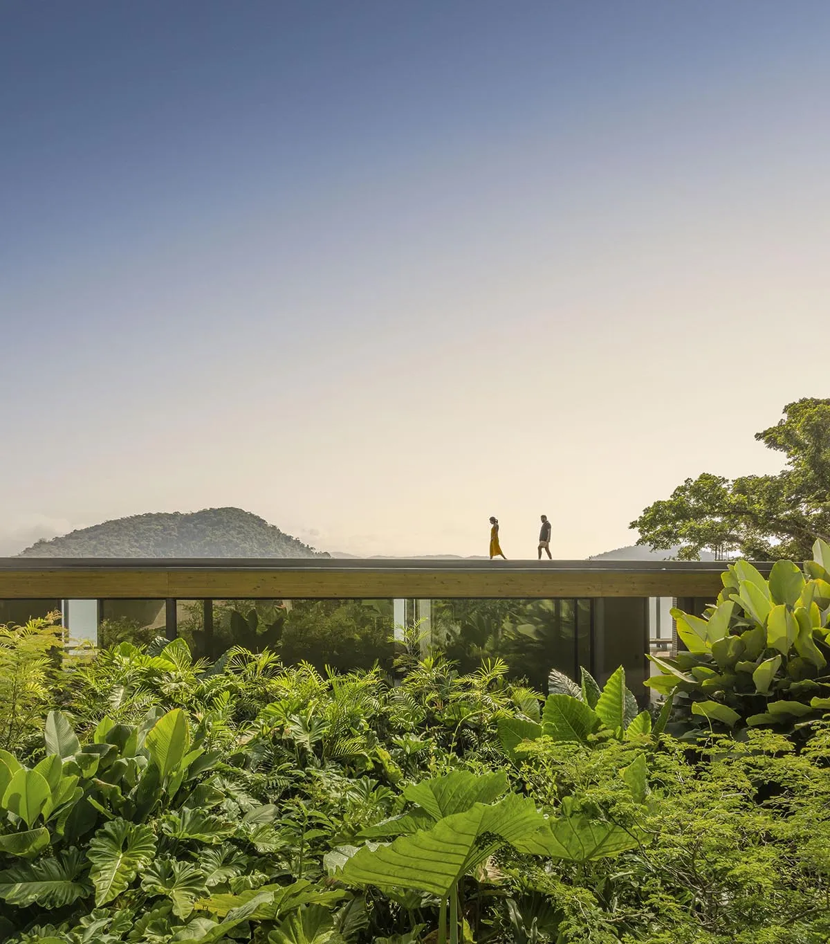 Two people walking along a modern glass roof with lush greenery surrounding it.