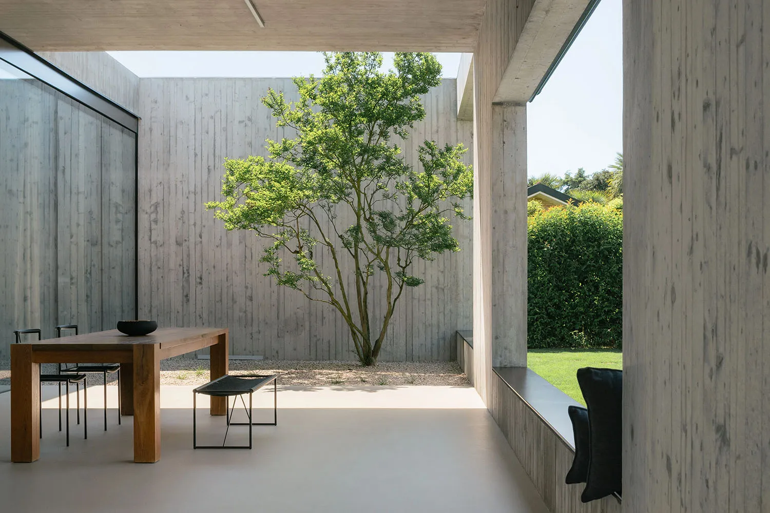 A minimalist living room with a concrete wall and a small tree in the center.