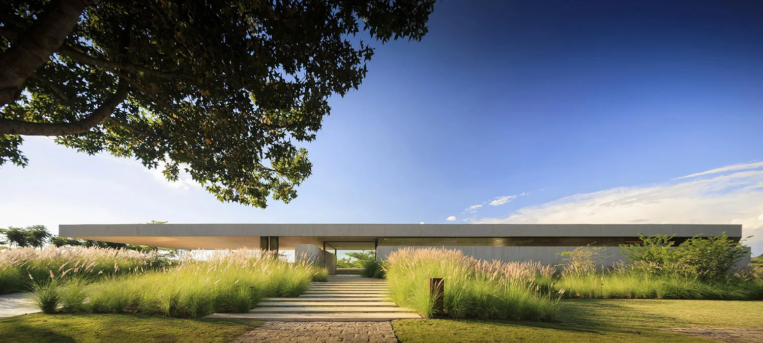 A modern house with a concrete facade and a garden featuring lush greenery and tall grasses.