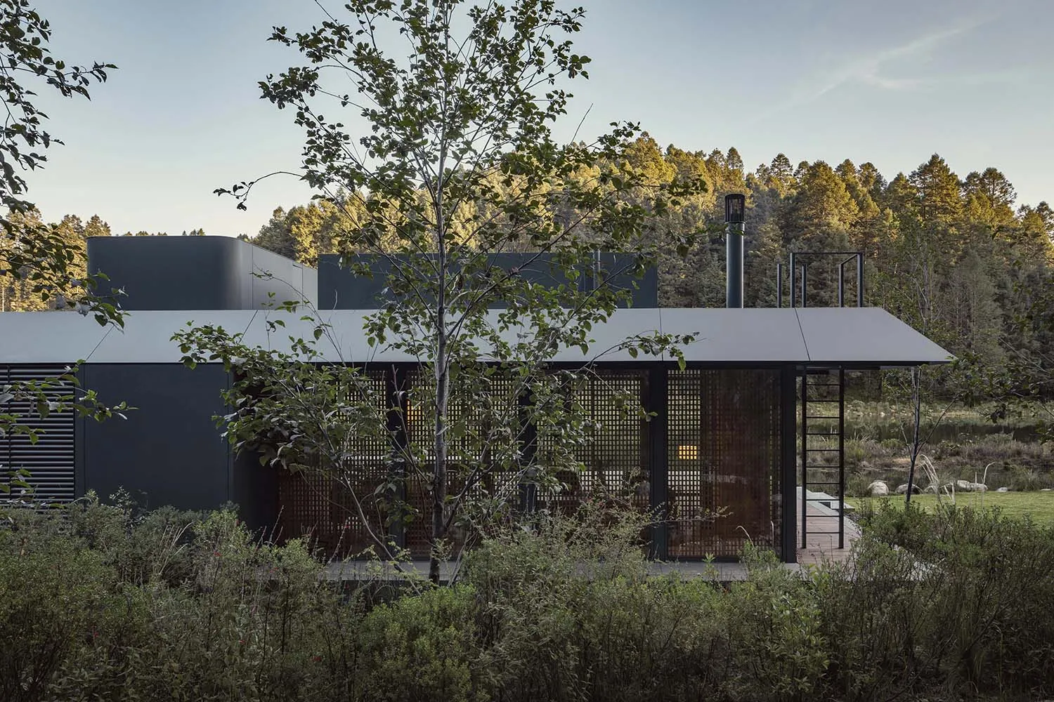 A modern house with a metal roof nestled in a natural setting.