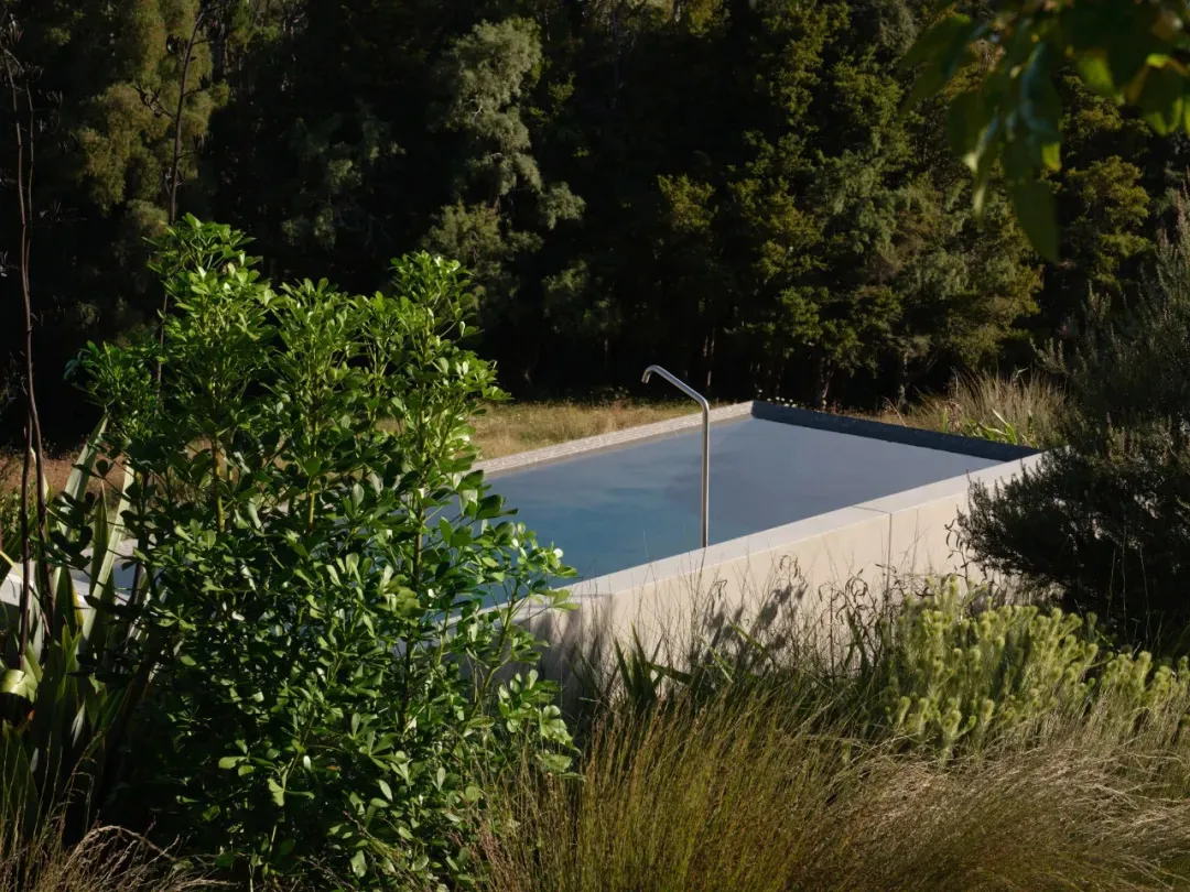 Outdoor swimming pool made of concrete surrounded by lush greenery and trees.