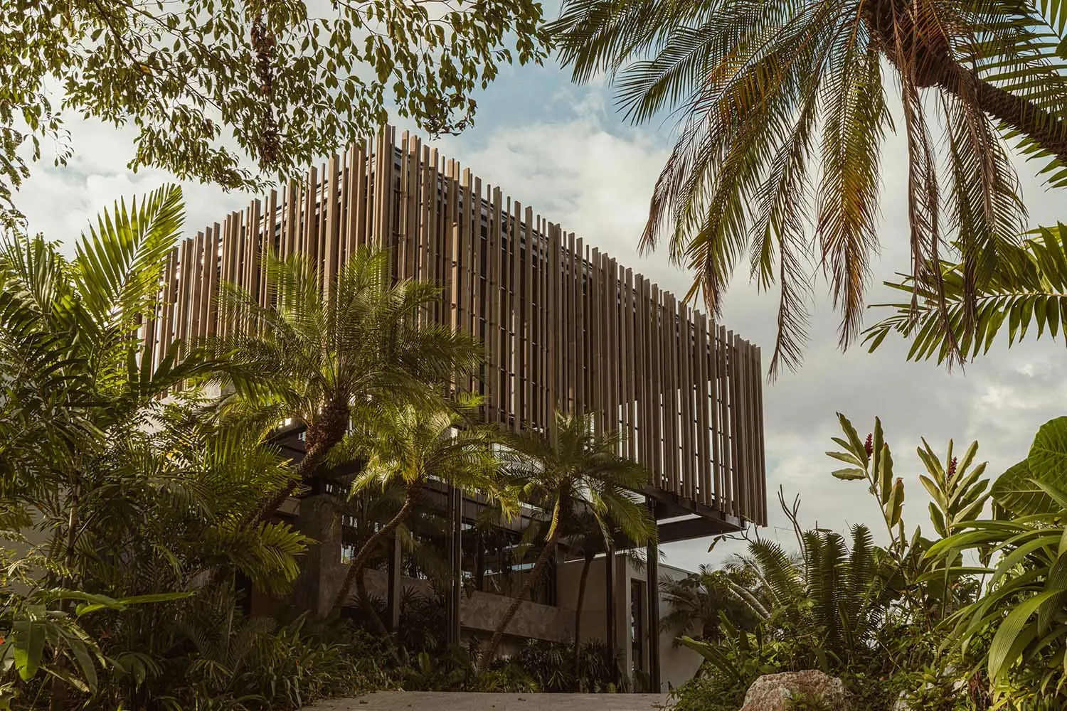 Modern building with wooden exterior surrounded by tropical foliage.