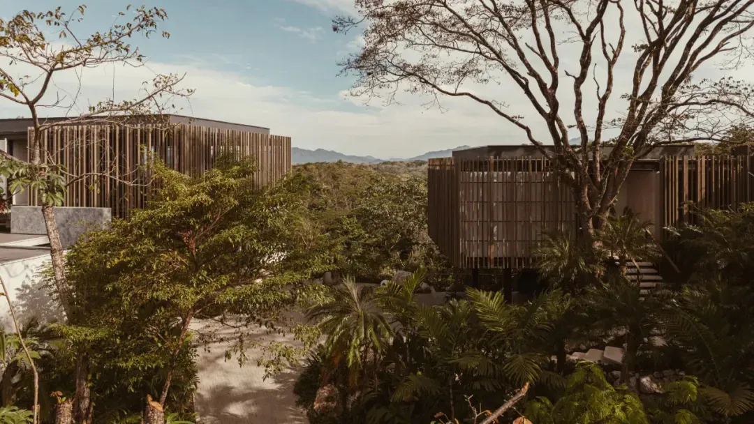 Modern residential exterior featuring wood cladding