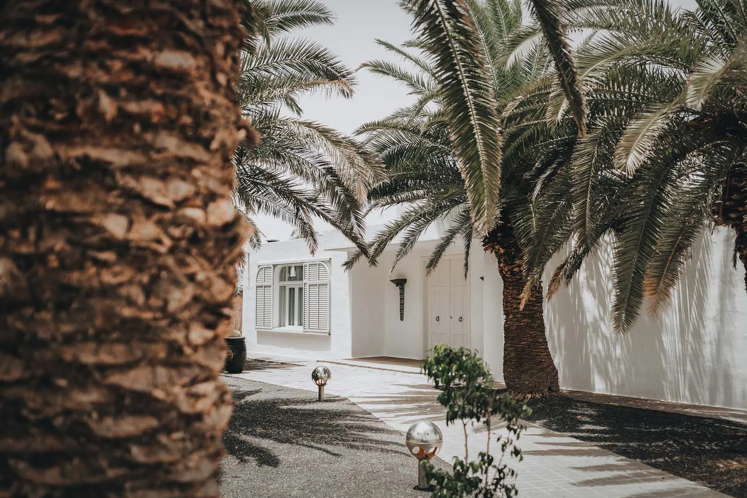 White-painted exterior of a residential building surrounded by palm trees and a paved pathway.