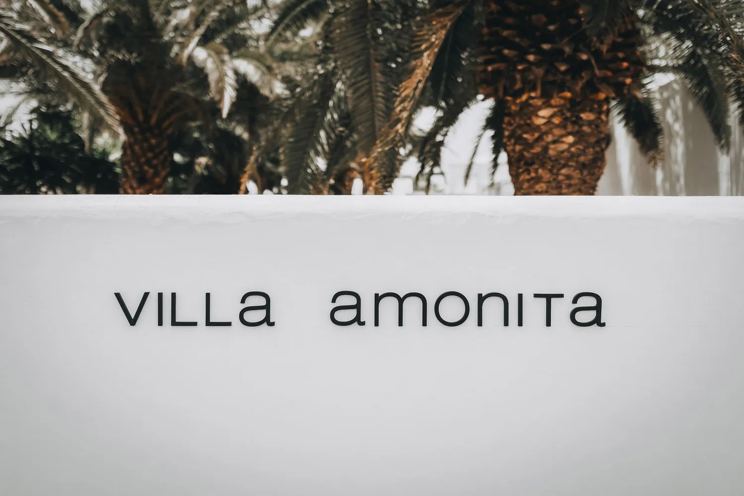 White plaster exterior of a minimalist building with tropical palm trees in the background.