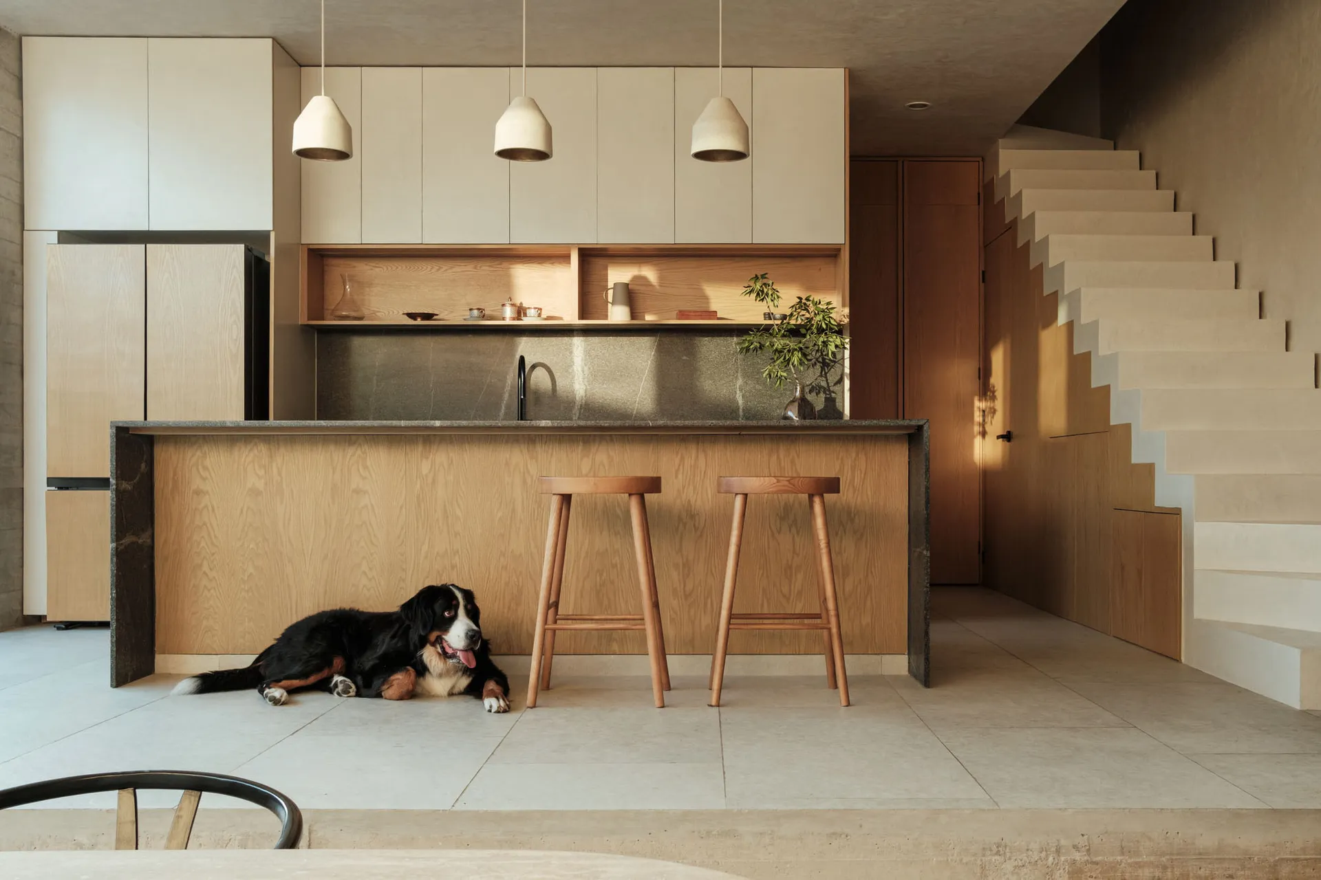 現代簡約廚房,搭配木質櫥櫃與中島,狗狗在吧台椅旁休息。
