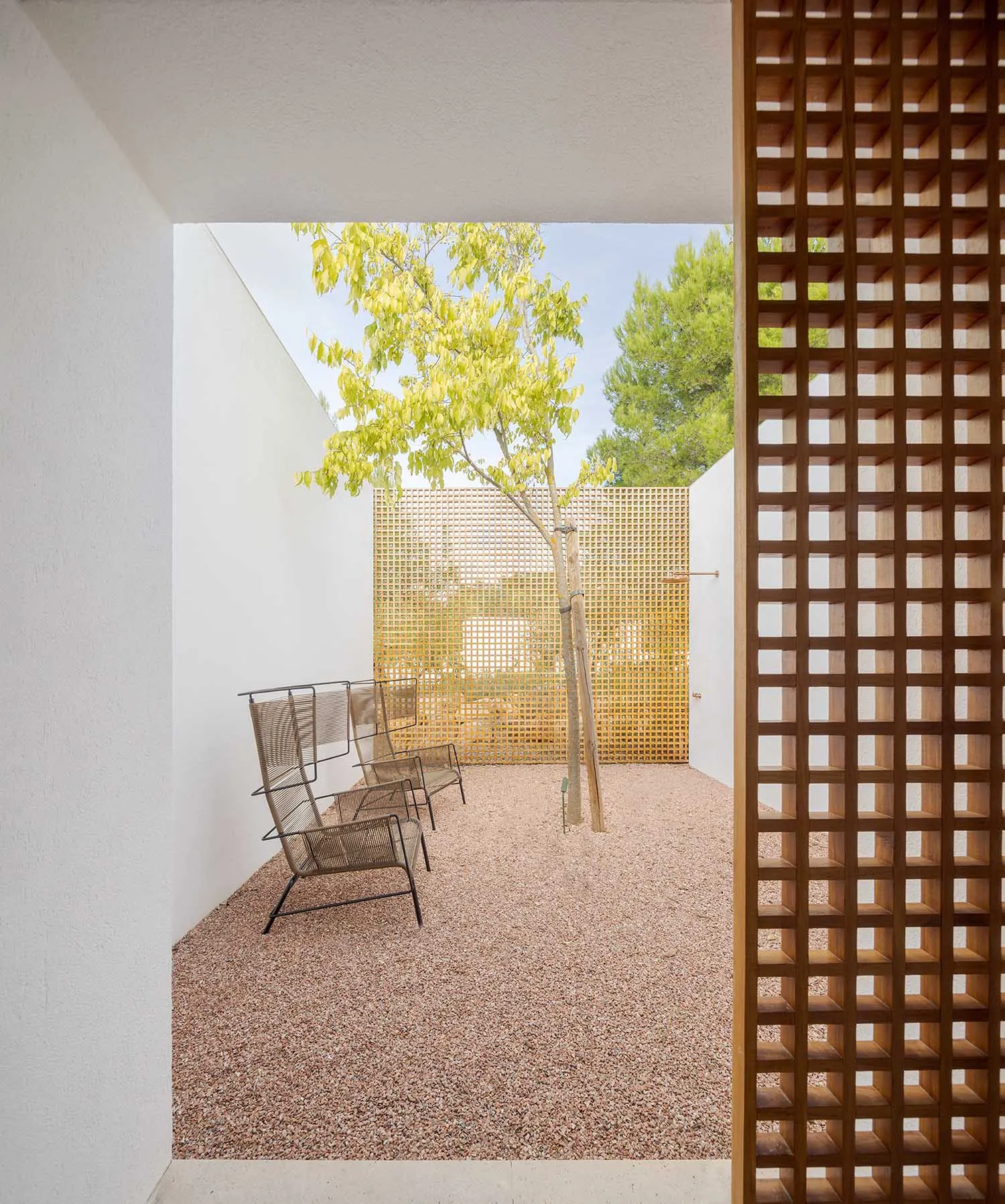 A minimalist garden with greenery and wood elements, featuring simple lines and natural materials.