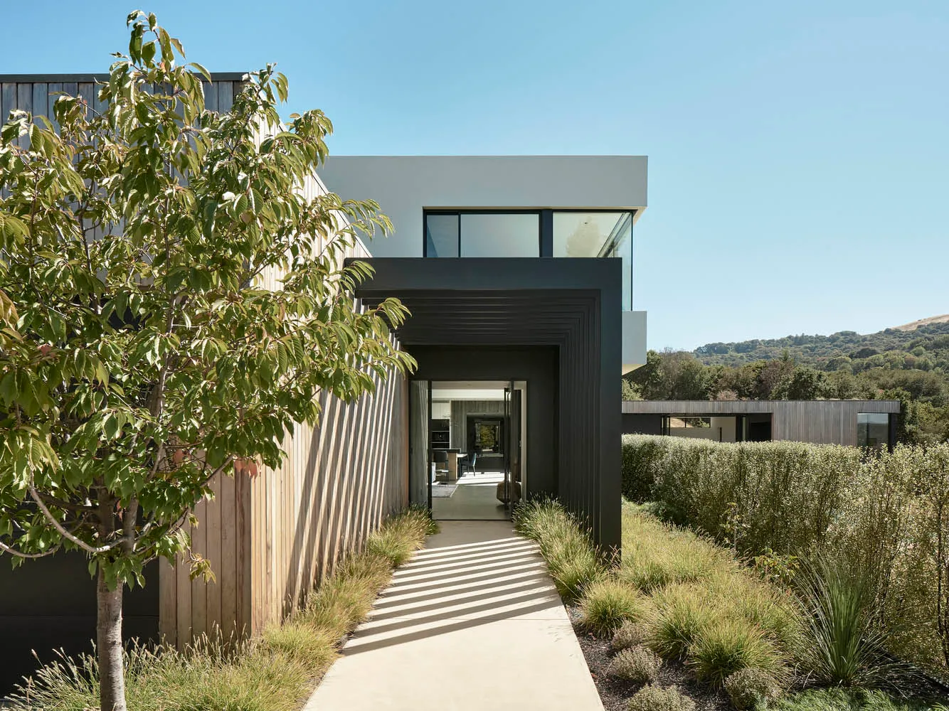 Modern architecture featuring wood materials