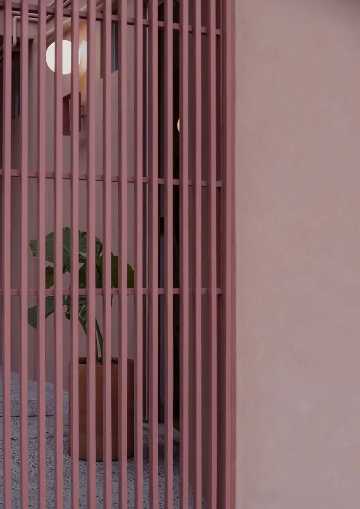A pink metal grid with a plant in the background.