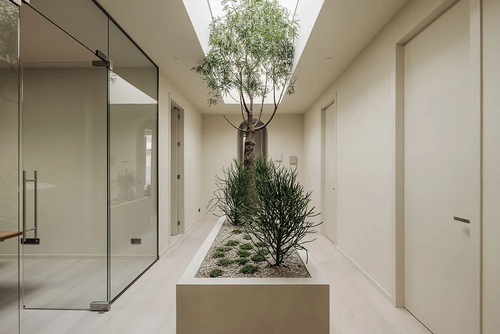 A minimalist hallway features a low, rectangular planter with small trees and rocks, framed by white walls and a glass door.