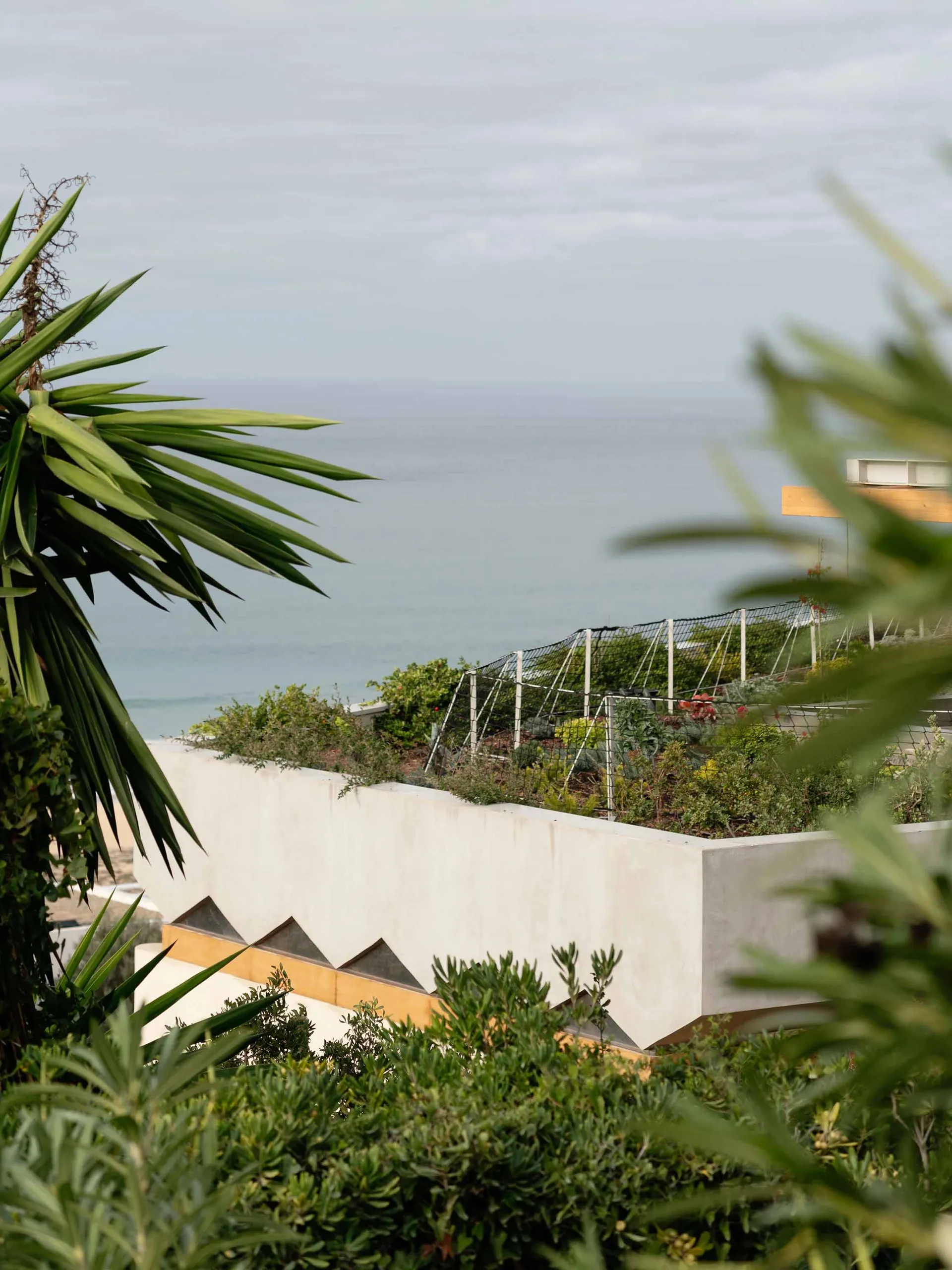 Modern residential area with concrete walls and plants overlooking the ocean.