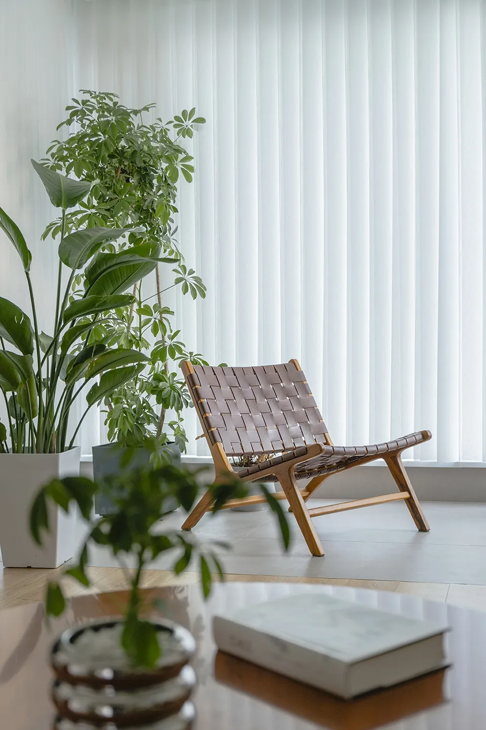 A minimalist living room featuring a wooden chair, potted plants, and a coffee table with a book.