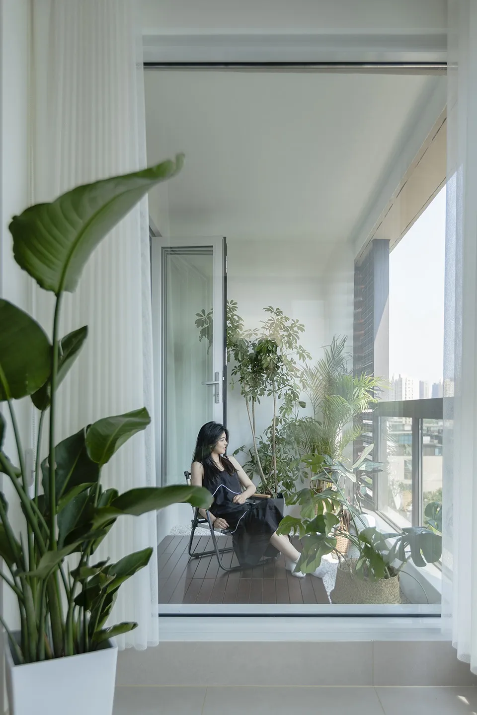 A modern living space featuring a variety of indoor plants.