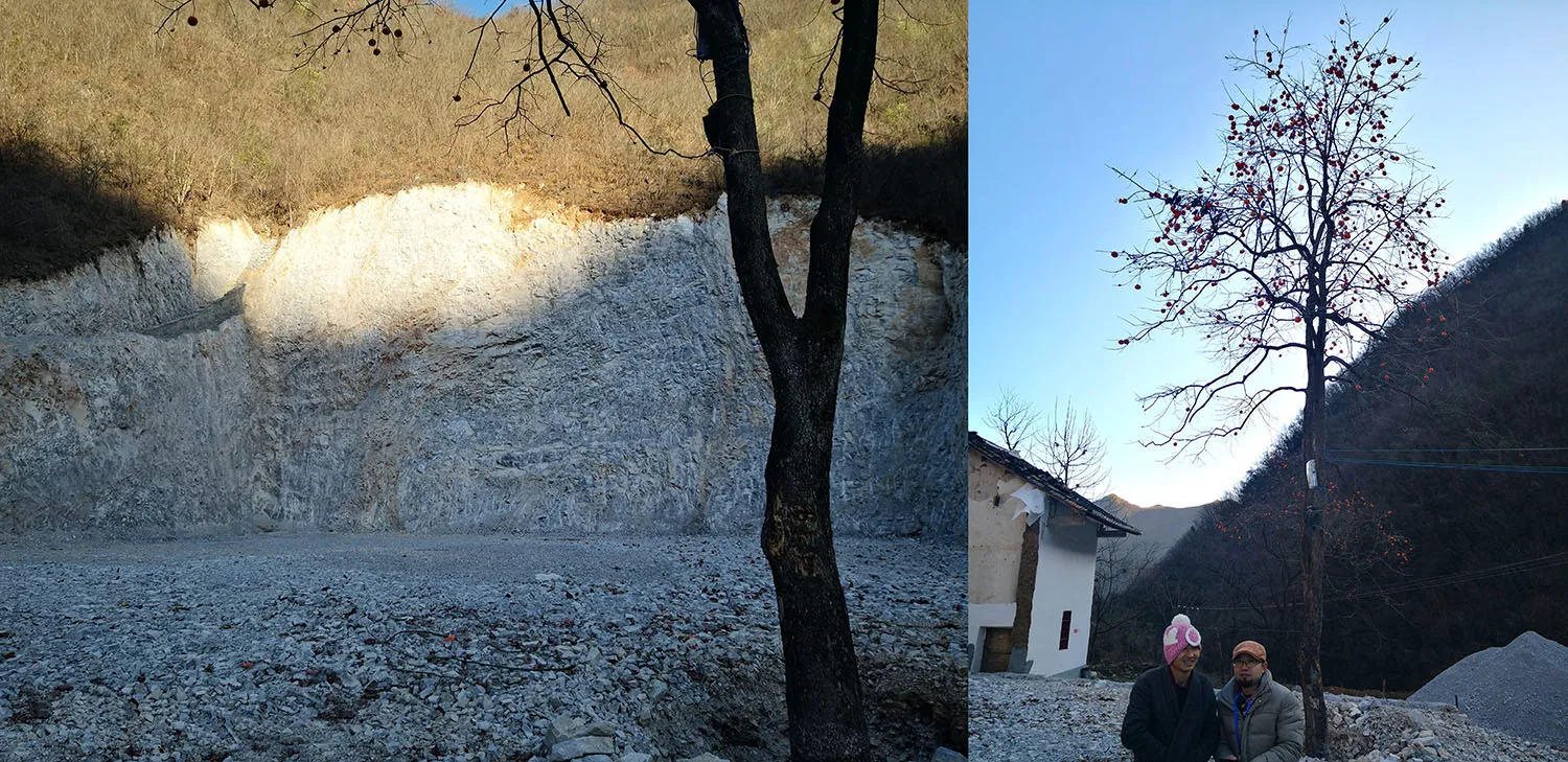 A rural landscape featuring a stone cliff and a tree with red berries.