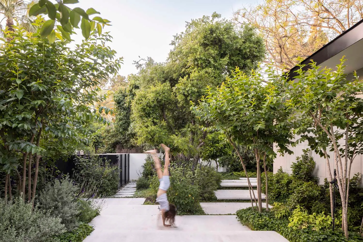 A person performing a handstand on a concrete pathway surrounded by lush greenery and plants in a modern outdoor garden setti