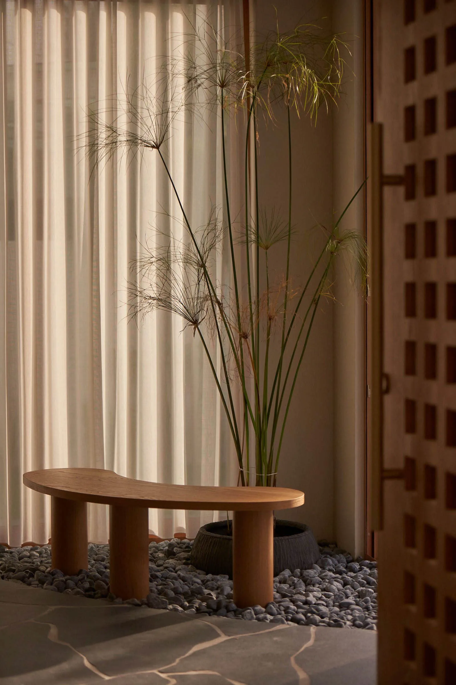 A minimalist living room with a wooden bench, potted plants, and decorative rock.