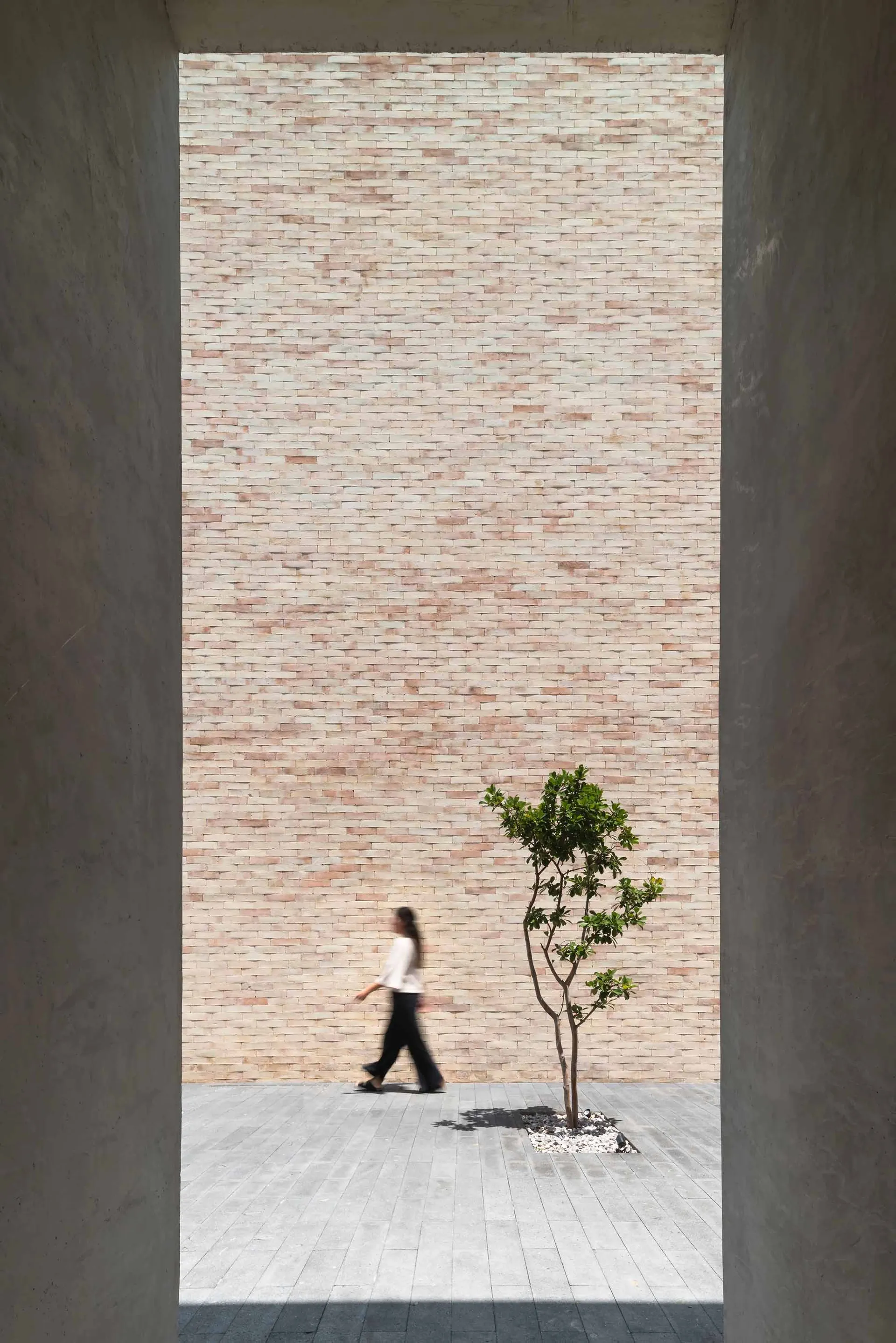 A minimalist space featuring a concrete wall and a small tree.