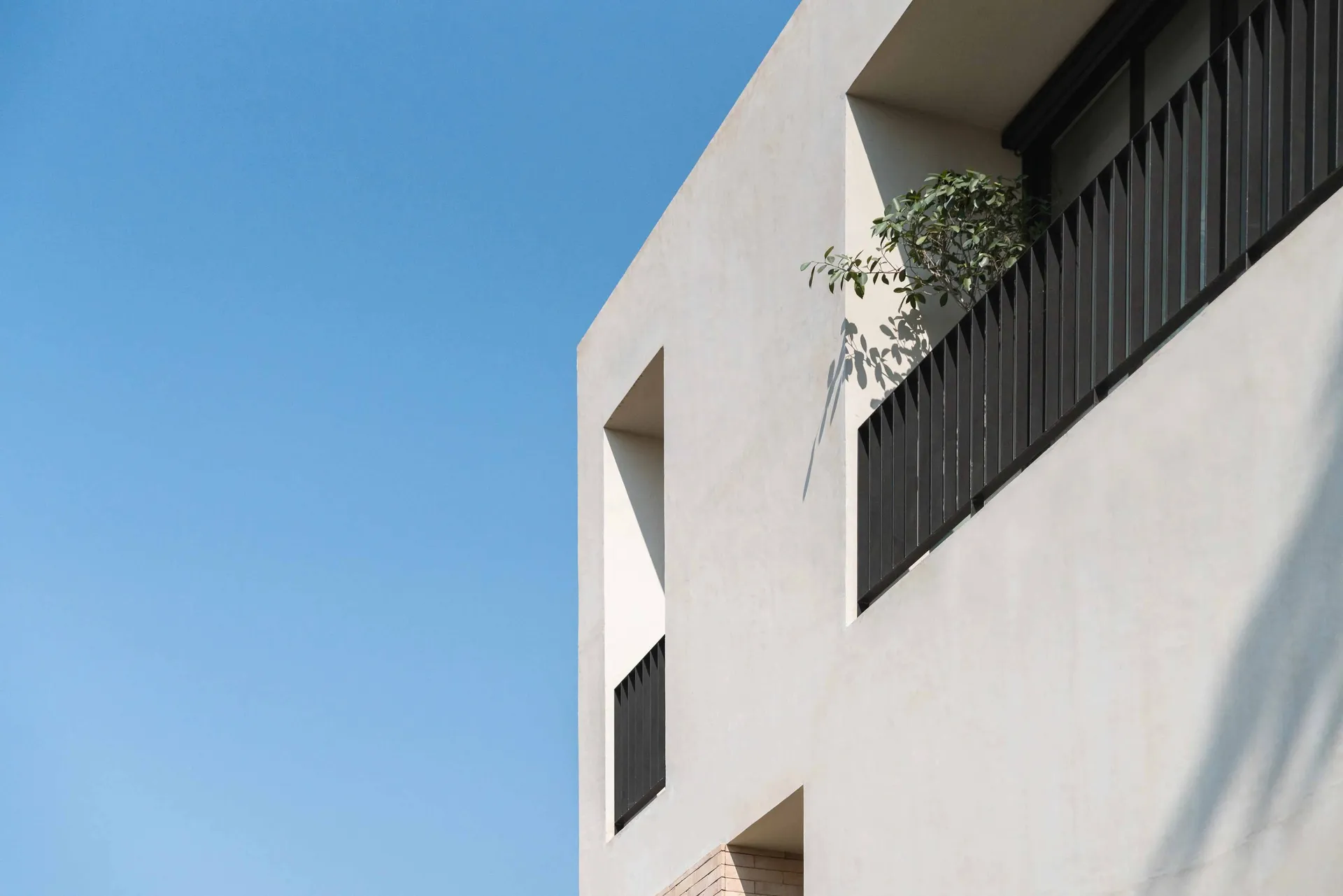 Modern building exterior featuring concrete architecture, window details, and a plant growing through a window.