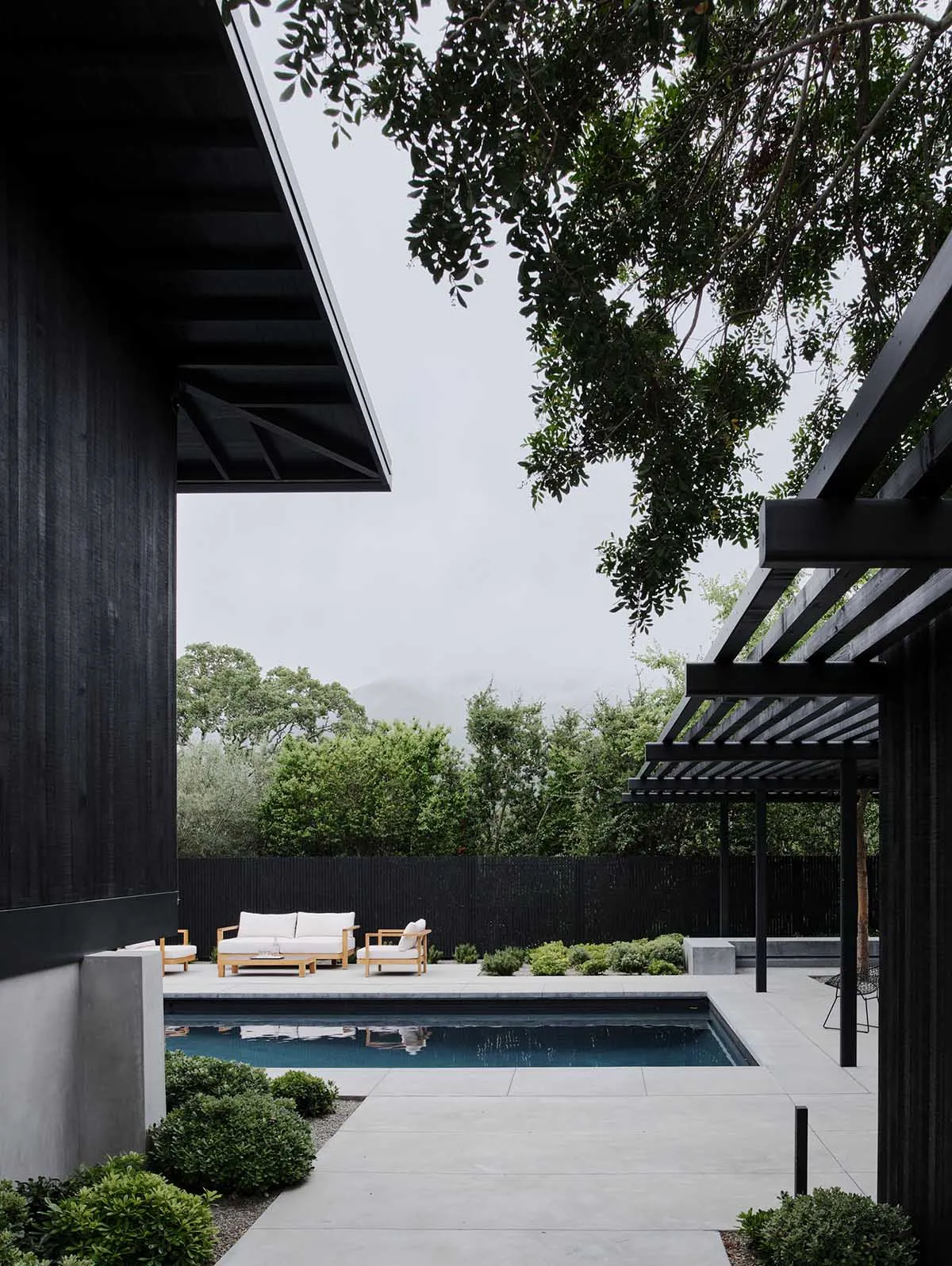 Modern outdoor pool area with concrete deck and camphor trees