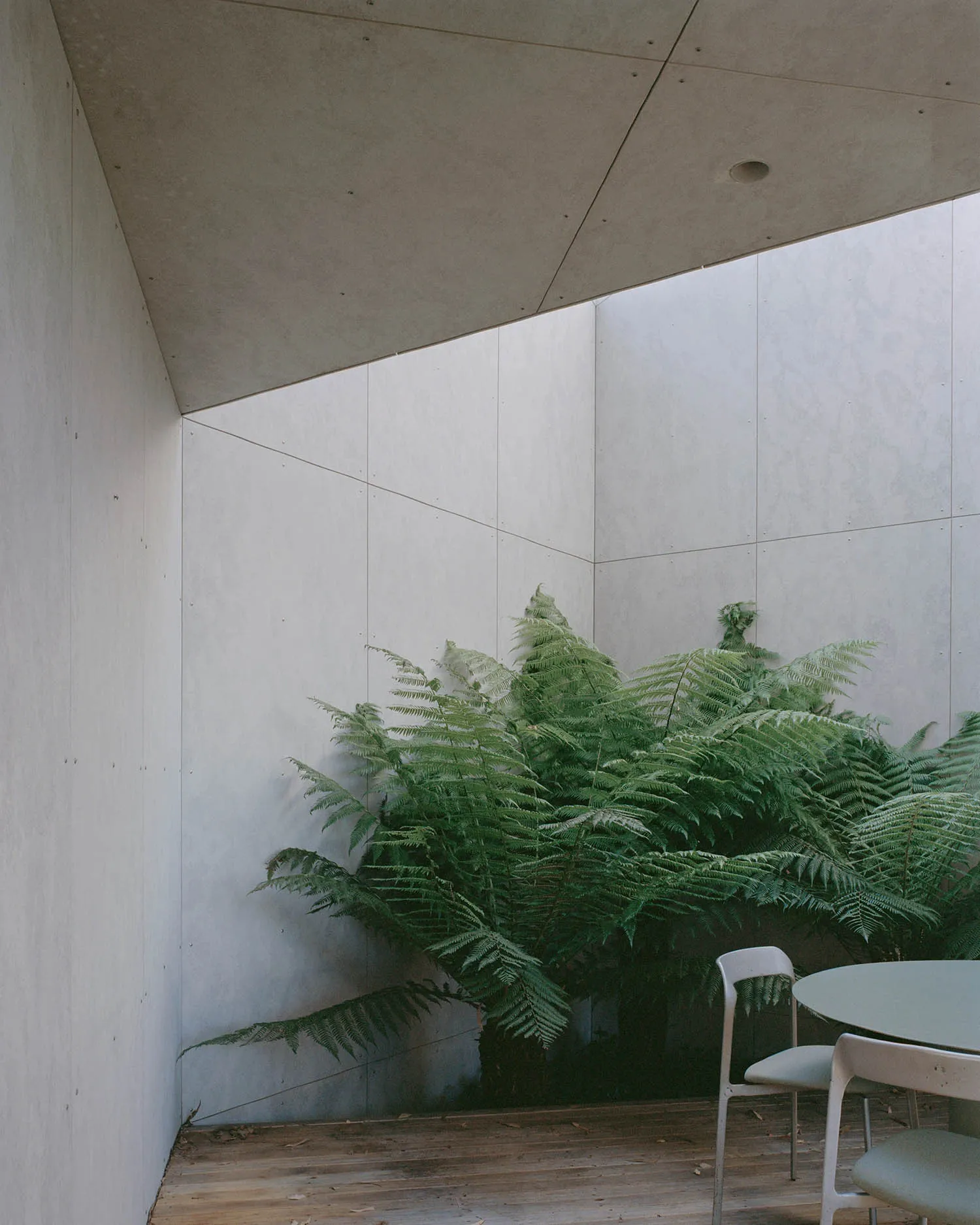 A modern indoor plant corner made of concrete.