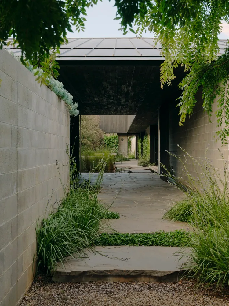 A minimalist pathway made of concrete with greenery on either side.