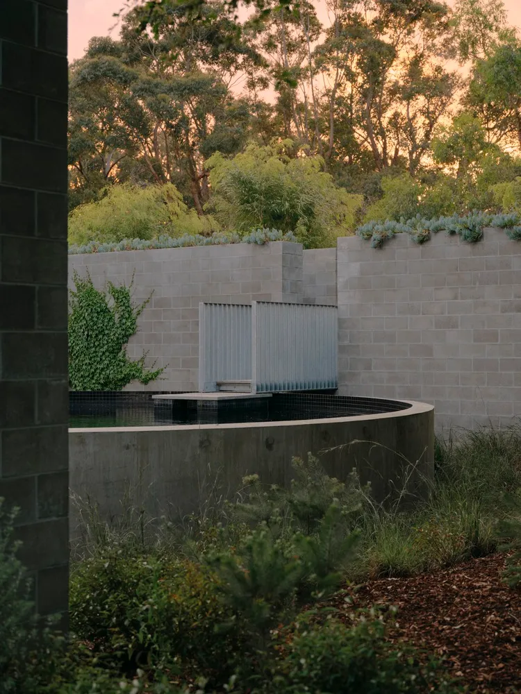 A modern minimalist landscape featuring a circular concrete edge with a water feature and lush greenery.