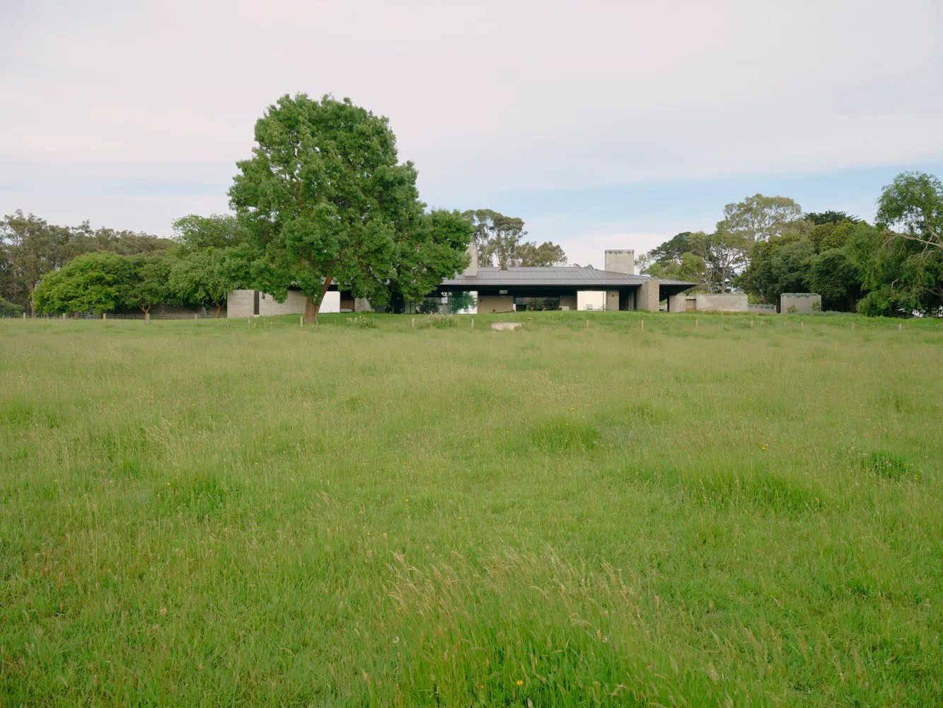 A modern house with concrete and glass features in a grassy field