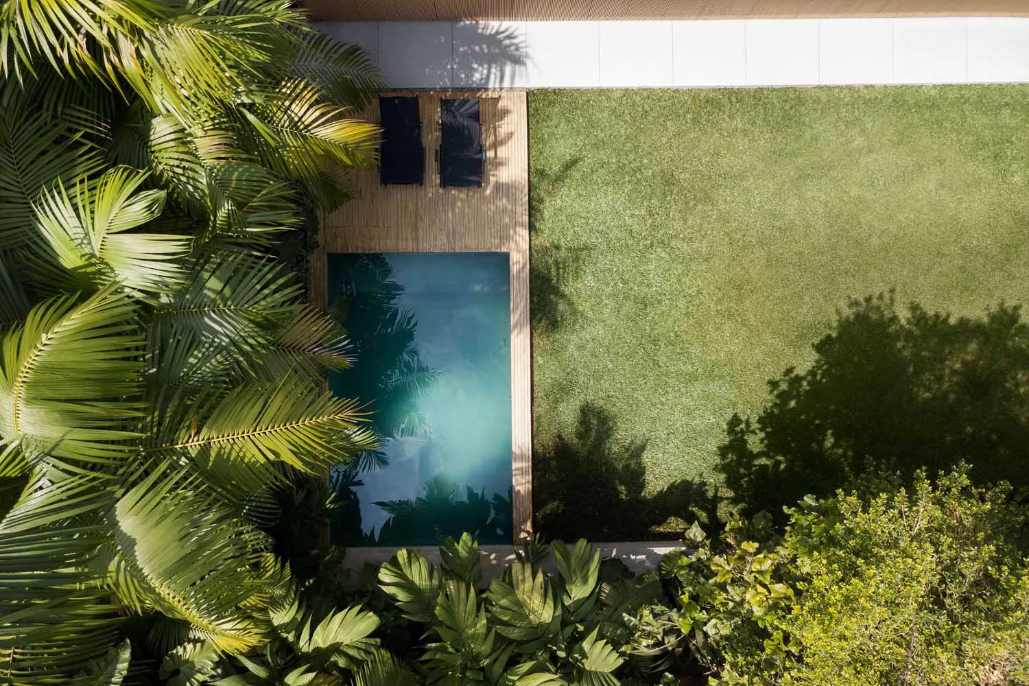 A minimalist outdoor living space featuring a wooden poolside patio with sun loungers and lush greenery surrounding a rectang