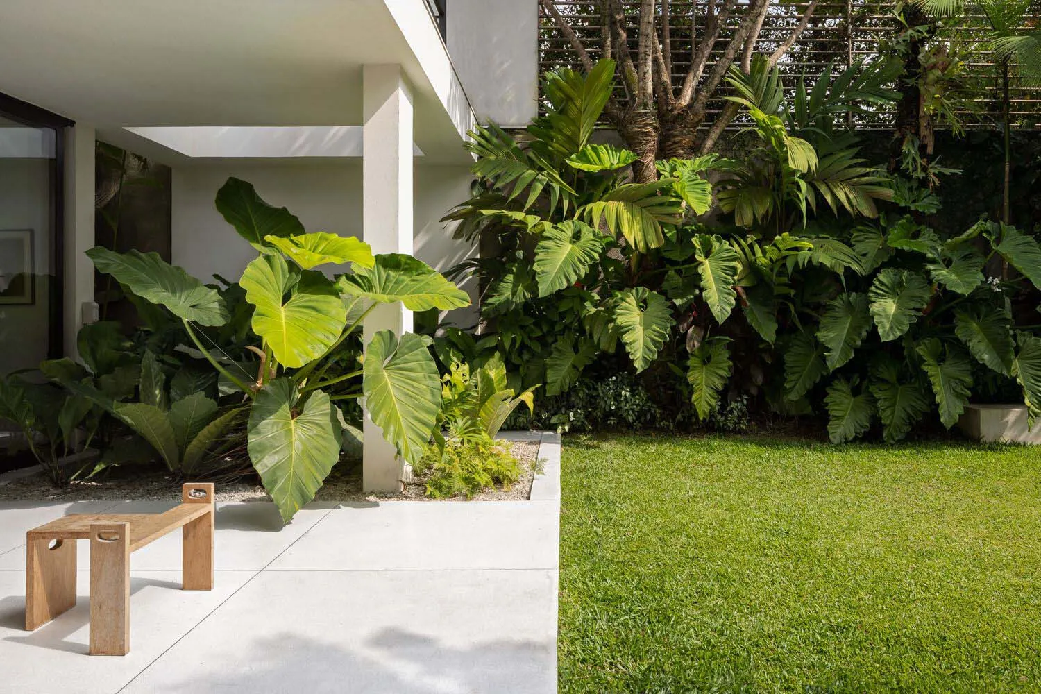 Modern exterior garden with concrete patio, lush green plants, and grassy lawn