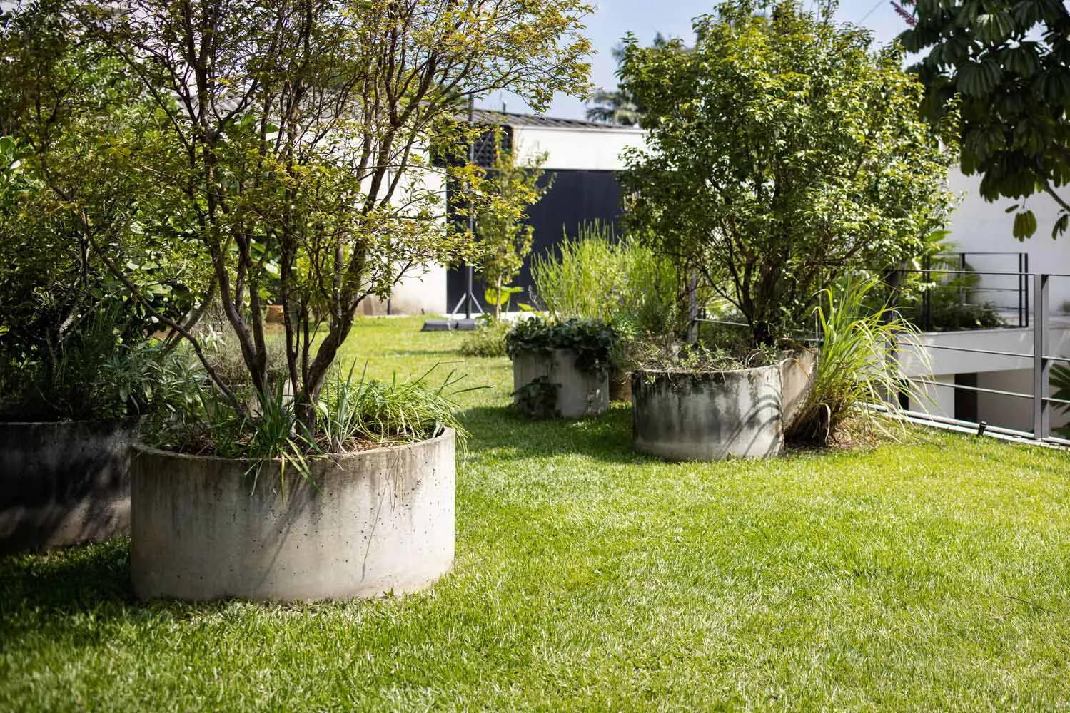 Well-maintained outdoor garden featuring concrete planters with lush green vegetation and grass.