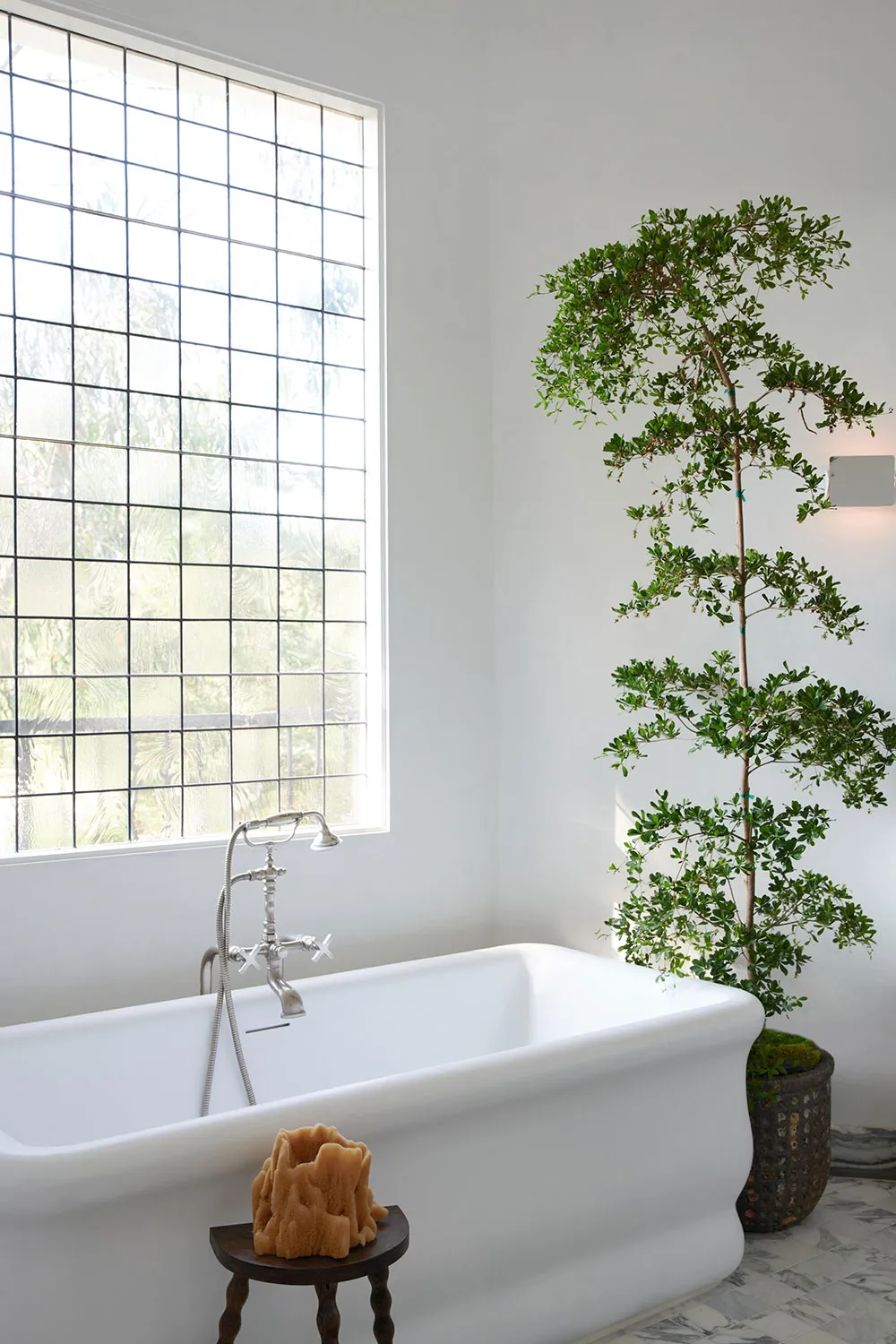 Modern bathroom with a white porcelain tub, green plants, and a window with grid glass.