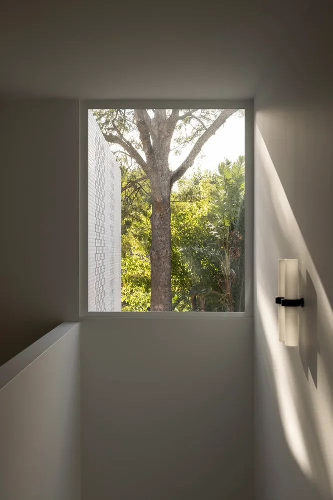 Minimalist window with glass walls overlooking trees.