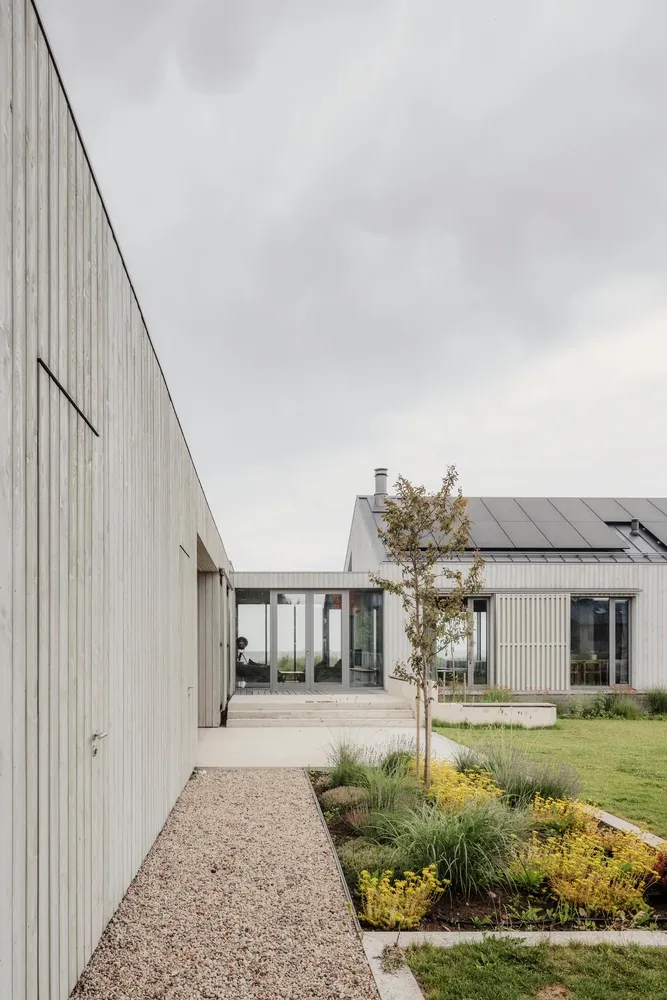 Modern house with wood siding and concrete patio