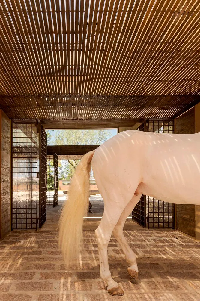 A white horse with a long, flowing tail stands in a stable with a wooden slatted ceiling and stone flooring.