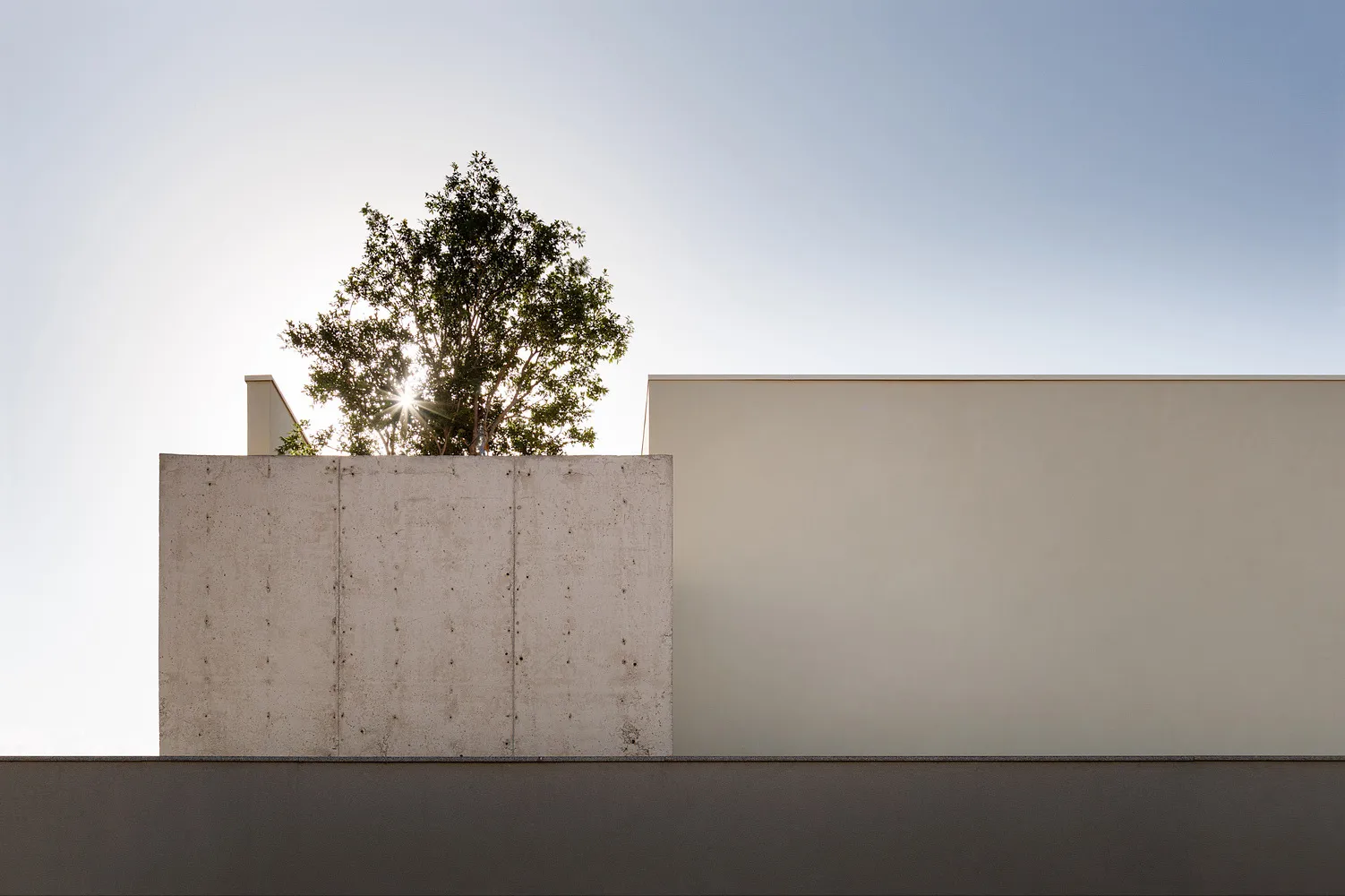 A minimalist architectural wall with concrete and steel elements, featuring a tree growing on top.