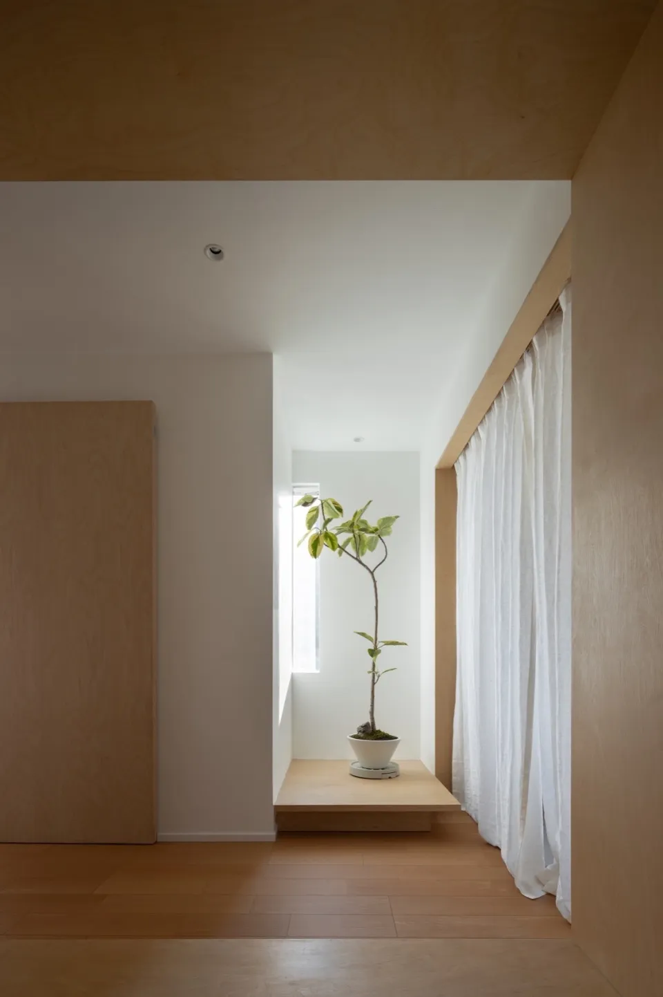 A minimalist interior with wooden floors, white walls, and white curtains.