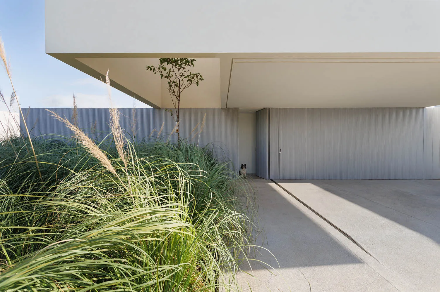 Concrete and steel entrance area of a modern residential home.