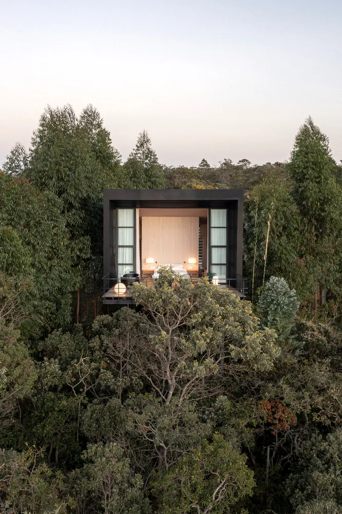 A modern treehouse featuring a large glass window surrounded by trees.