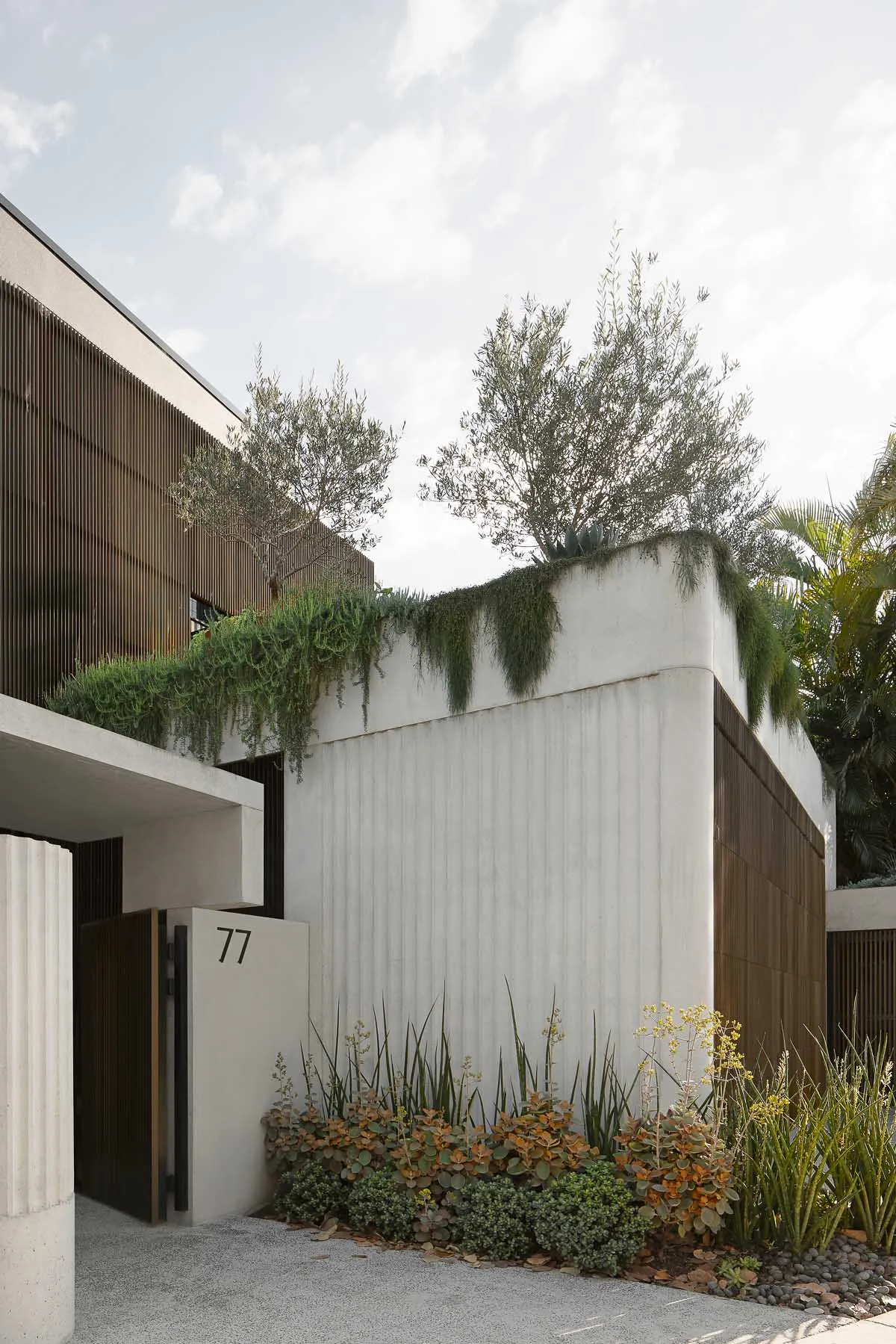 Modern home with white walls, concrete exterior, and wooden accents.