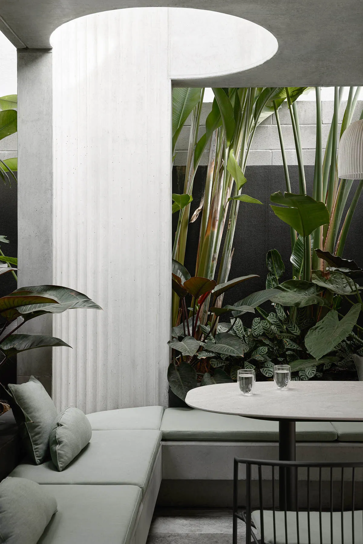 Minimalist living space featuring concrete furniture and plants.