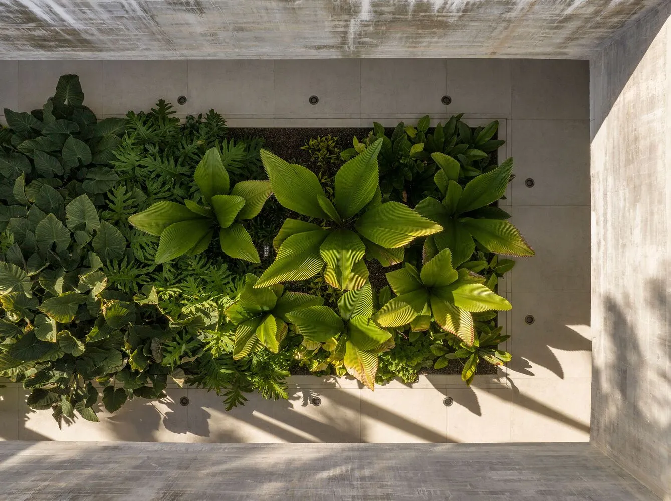 An industrial greenwall constructed of concrete.