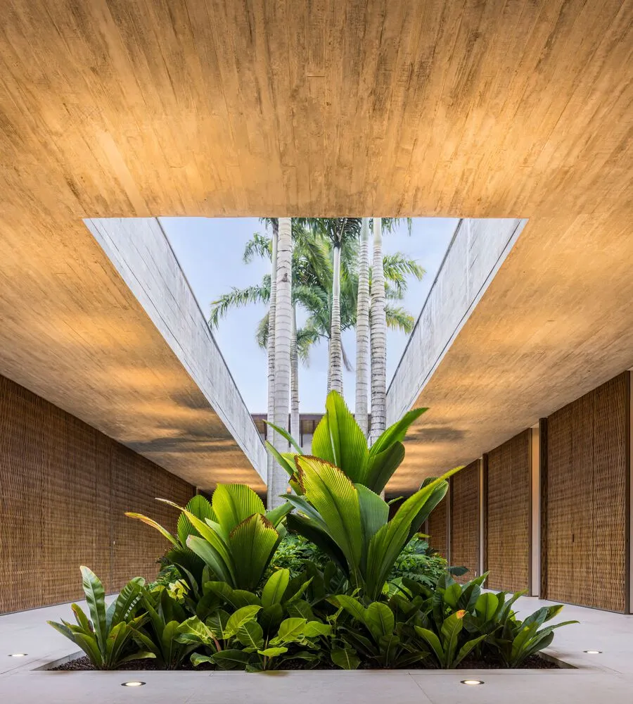 現代建築室內空間,混凝土牆面搭配竹材,設有綠意盎然的室內花園。