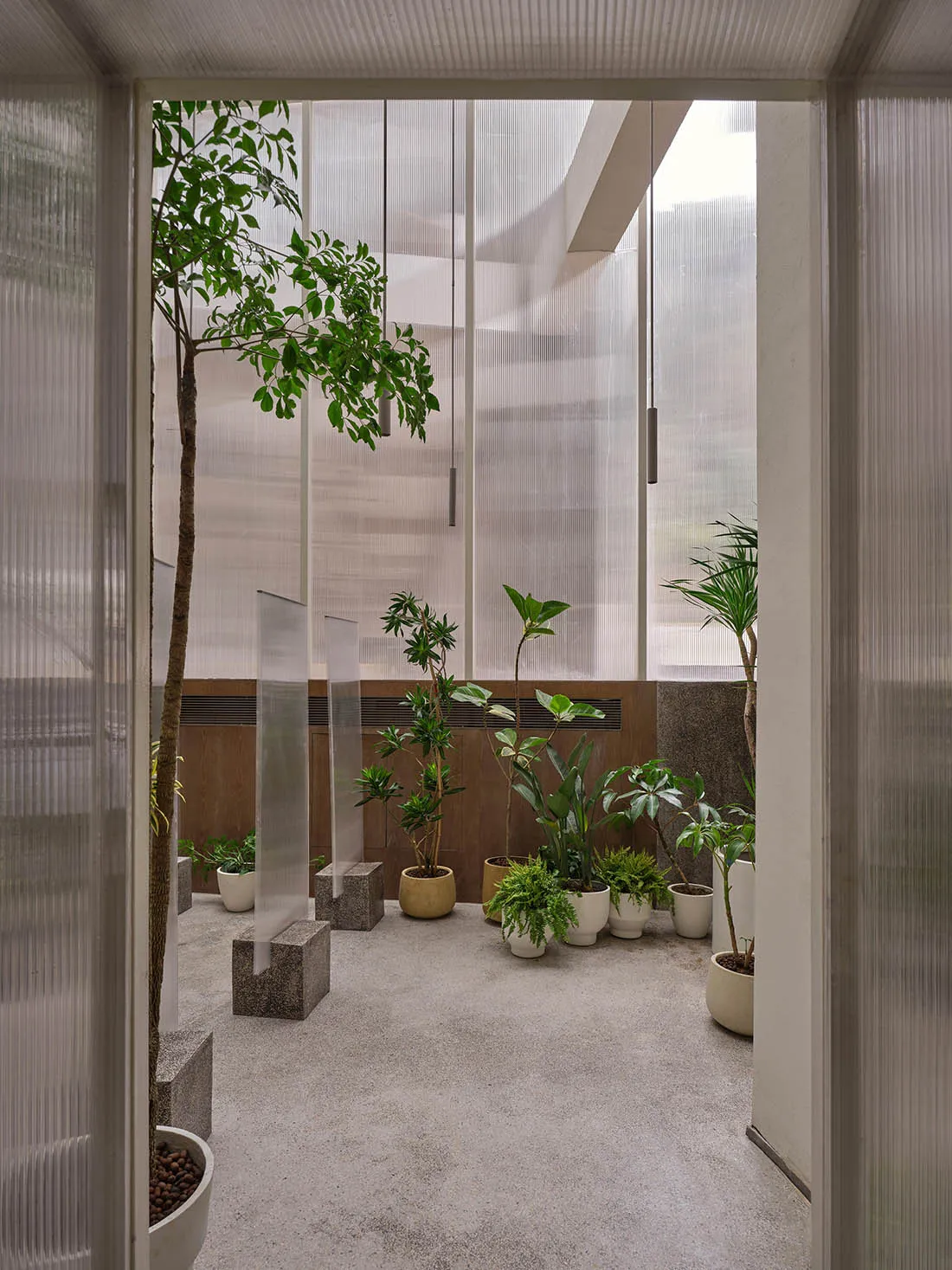 Modern greenhouse interior with various plants in different pots, glass walls, and hanging lights.